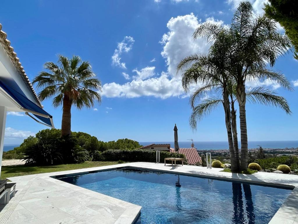 Pool and palms looking towards the ocean