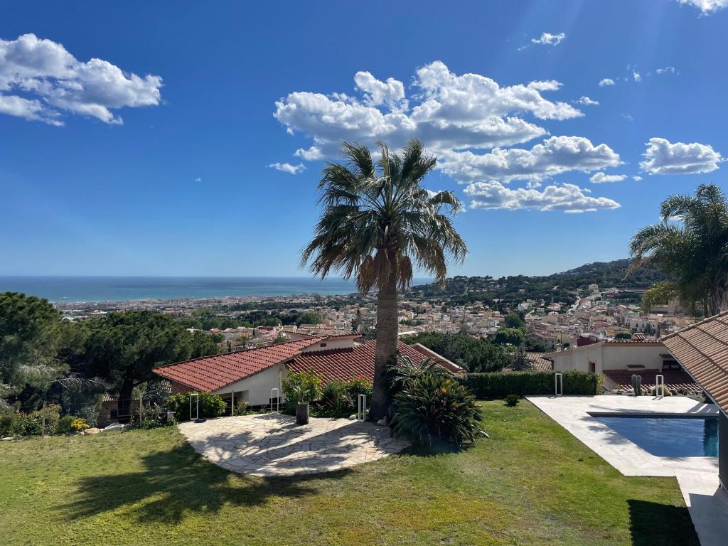 Palm tree view over Vilassar de Dalt