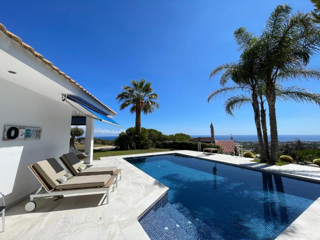 Pool and palms